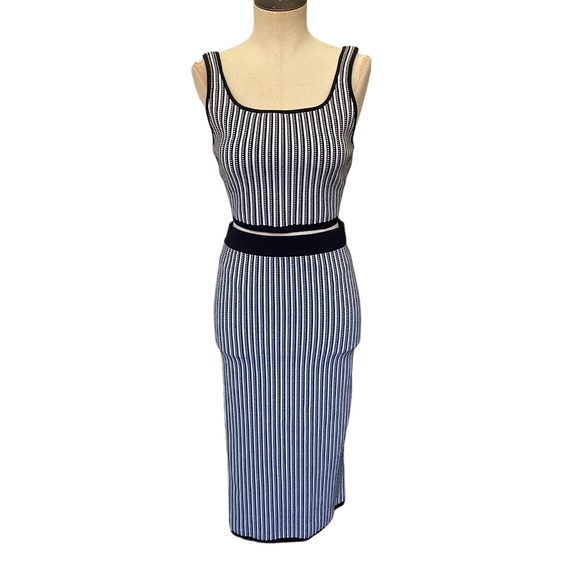 Aritzia Babaton Striped Set- Sculpt Knit Tank & Bodycon Tube Midi Skirt - Picture 5 of 11